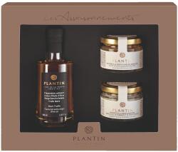 PLANTIN Ajándékcsomag OIL & CONDIMENTS, extra szűz olívaolaj és fűszer, PLANTIN (PLA3237850002275)