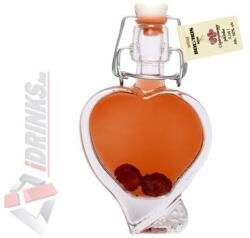 Bolyhos Pálinka Bolyhos Ágyas Cigánymeggy Pálinka (Szív alakú csatos üveg) [0, 04L|50%] - diszkontital