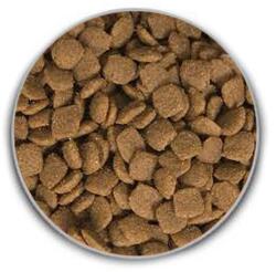ACANA Puppy Large Breed 11, 4 kg + Rabbit Snack 500g GRÁTISZ