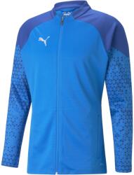 PUMA Teamcup Training Jacket (65798302)
