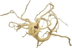 INVITAL Red Moor Wood Premium L 40-50cm (ID Z08165)