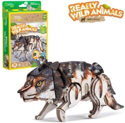 CubicFun - National Geographic Animale Salbatice Puzzle 3D Lup Cenusiu 58 piese (CUDS1073h) - carlatoys