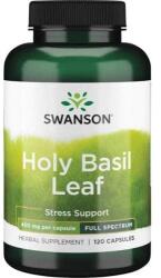 Swanson Frunză de Busuioc Sfânt 800 mg - 120 capsule
