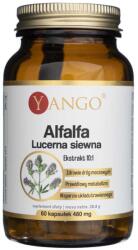 Yango Alfalfa Lucernă însămânțare - 60 capsule