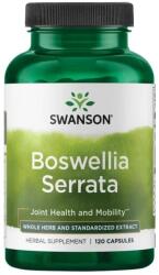 Swanson Boswellia Extract 200 mg - 120 capsule
