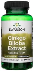 Swanson Ginkgo Biloba Extract 60 mg - 120 capsule