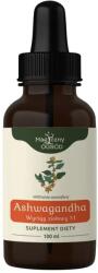 NANGA Ashwagandha Extract din plante 1: 1 - 100 ml