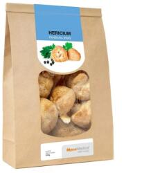 MycoMedica Ciuperci Hericium uscate - 100 g