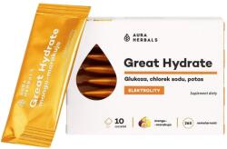 Aura Herbals Electroliți Great Hydrate, Mango - fructul pasiunii - 10 pliculețe