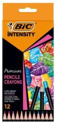 BIC Creioane colorate 12 culori Bic Intensity Premium 651968 (9518441)