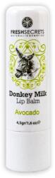 Fresh Secrets Balsam de buze cu lapte de magarita si ulei de avocado SPF30, 4.5g, Fresh Secrets