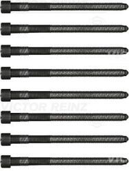 Victor Reinz Set surub, chiulasa VICTOR REINZ 14-32166-03 (14-32166-03)