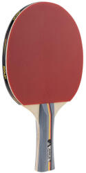  Pingpongütő Joola Team Germany School