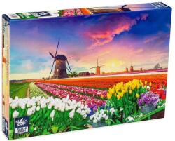 Black Sea 1000 db-os puzzle - Sunset in the Netherlands (BS82236) (BS82236)