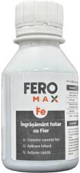 MAX Ingrasamant foliar cu fier complexat FEROMAX - 100 ml, Fructe, Legume, Vita de vie (PR-103943)