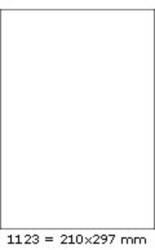 RayFilm R0ECO Etikett - A4 - 1000 db