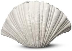 Byon vaza decorativa Shell 99KK-DRU07M_00X (5260905802)