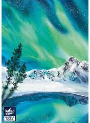 Black Sea BS82440 - The Northern Lights - 500 db-os puzzle (BS82440)