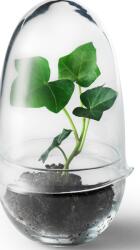 Design House Stockholm Seră Grow S (2043-0000)