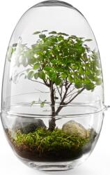 Design House Stockholm Seră Grow L (2419-0000)