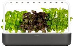 Click & Grow Smart Garden 9 - Sötétszürke (Paradicsom, Saláta, Bazsalikom) (4742793008899) (4742793008899)
