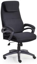 Halmar Sidney (kz1015230)