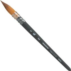 Princeton Artist Brush Aqua Elite Kefe 6 1 db (P4850Q6)
