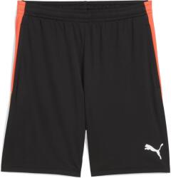 PUMA Individualliga Training Shorts 2 (65951907)