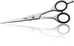  Iwasaki Acél fodrászolló 5, 5 (XS370838)