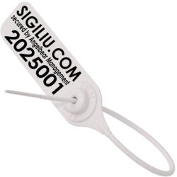 ANGELBEAR SET 20 sigilii plastic ANGELBEAR antifurt cu inchidere rapida, etichete pentru sigilare haine, incaltaminte, bagaje, ambalare (C51)