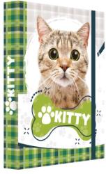 Junior Doboz füzetekhez A4 Jumbo Kitty