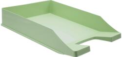 KARTON P+P Pastelini tároló fiók - zöld