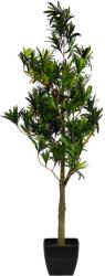  EUROPALMS Podocarpus tree, artificial plant, 90cm (82511520)