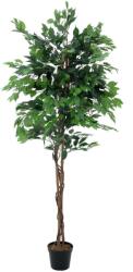 EUROPALMS Ficus Tree Multi Trunk, artificial plant, 210cm (82506127)