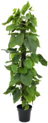  EUROPALMS Pothos Plant, artificial plant, 180cm (82600227)