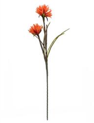  EUROPALMS Dahlia (EVA), artificial plant, orange, 100cm (82532006)