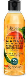Barwa Natural Mangós Tápláló Sampon - Göndör Hajra 300ml