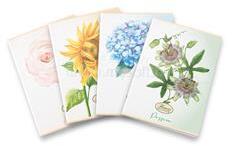 Pigna Flower Special A4 tűzött 42 lapos kockás füzet (P1111-2066) (P1111-2066)