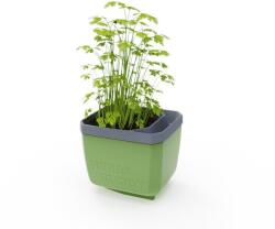 Gusta Garden HERBS BUDDY önöntözős, zöld (GG-122F10)