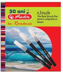 Herlitz Carioci cu varf de pensula 6+1 culori/set, X. Brush Herlitz HZ9487480