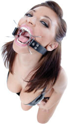 Pipedream Spider szájpecek - szexshop