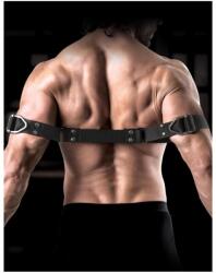 Pipedream Sir Richards -Bicepsz bilincs - szexshop