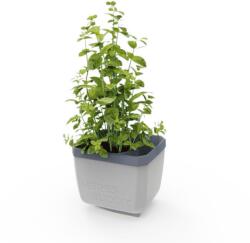 Gusta Garden HERBS BUDDY önöntözős, világosszürke (GG-120F10)