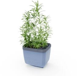 Gusta Garden HERBS BUDDY önöntözős, kék (GG-123F10)