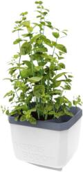 Gusta Garden HERBS BUDDY önöntözős, fehér (GG-124F10)