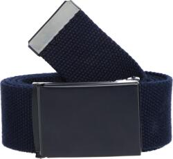 Willard BELT 120