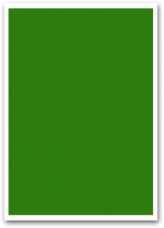 BLUERING Etikett címke, 210x297mm, 1 címke/lap zöld Bluering® - nyomtassingyen