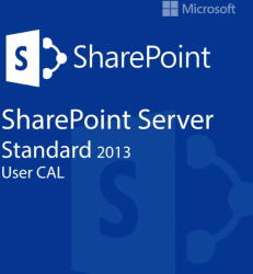 Microsoft SharePoint Server 2013 Standard User CAL (8721098480209)
