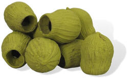  Eukalyptus Bell Gum Oliva - papelito