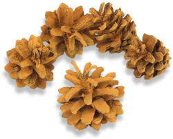 Rózsatoboz narancs 5db/csomag - papelito